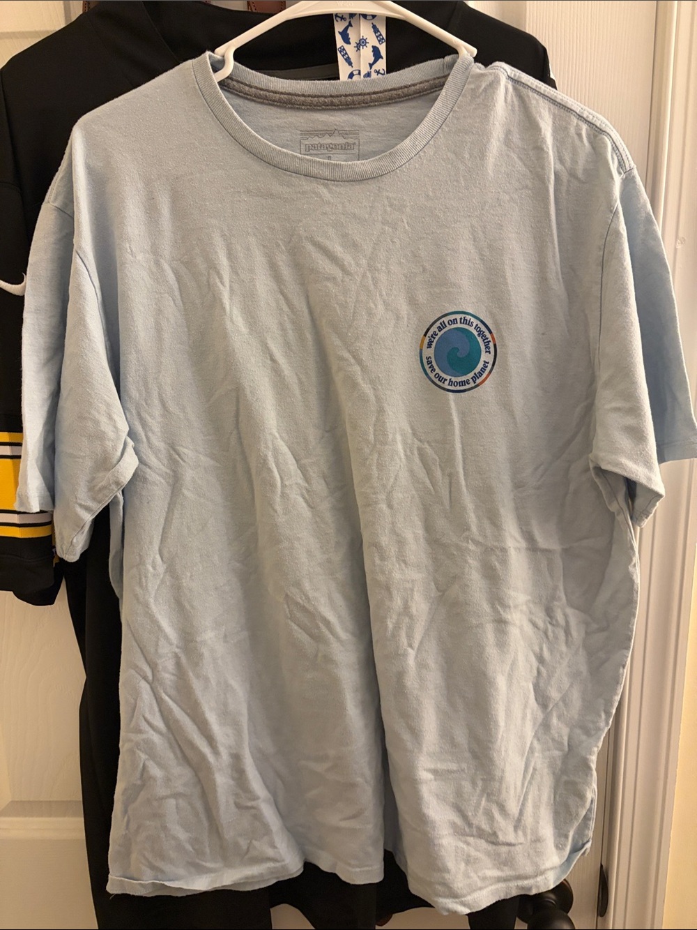 Patagonia Light Blue Men's Graphic Cotton T‑Shirt